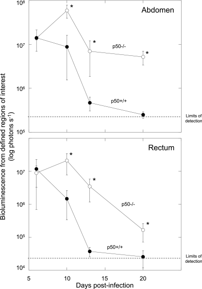 FIG. 3.