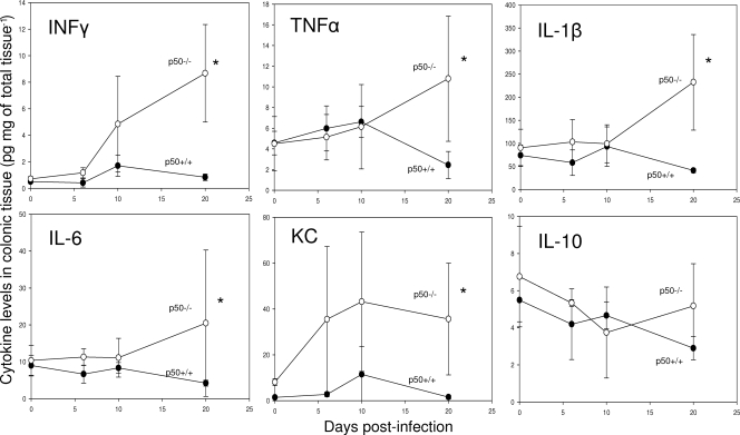 FIG. 7.