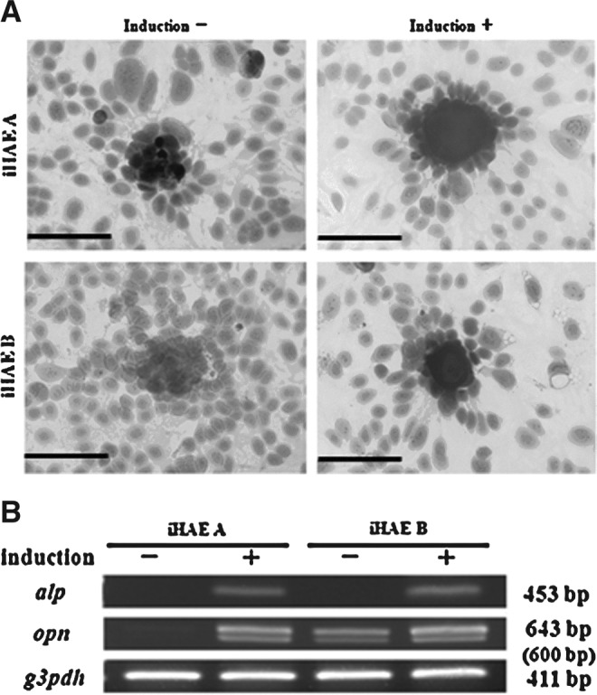 FIG. 6.