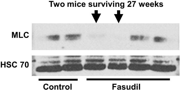 Figure-5