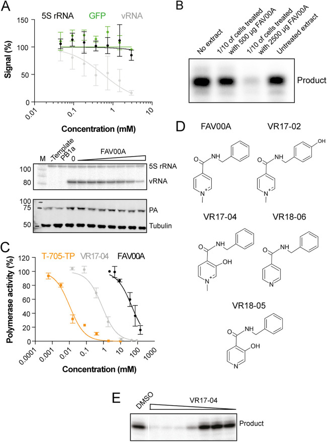 FIG 6