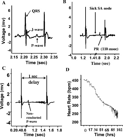 Fig. 3