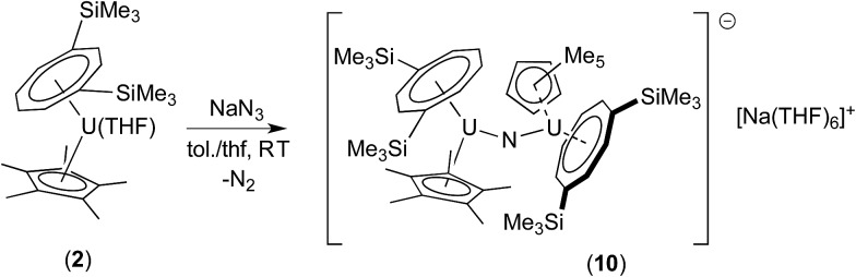 Scheme 5