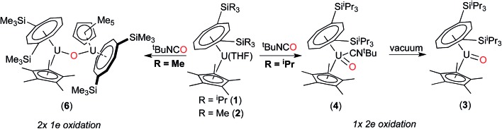 Scheme 3