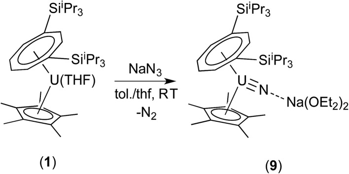 Scheme 4