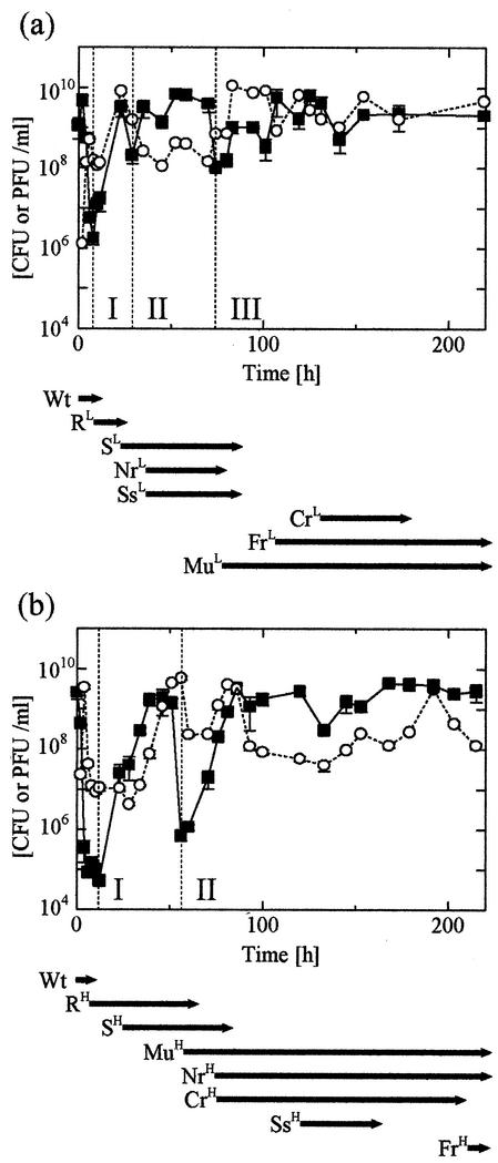 FIG. 1.