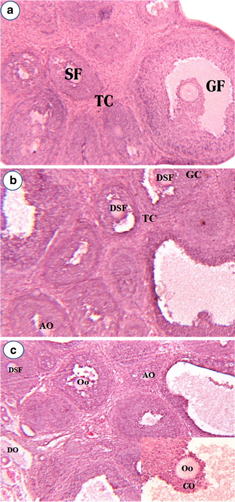 Fig. 2