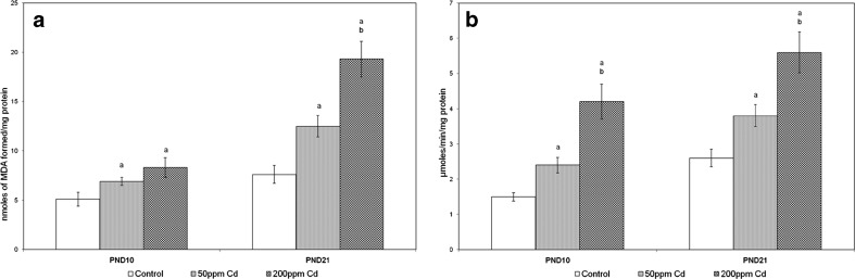 Fig. 6