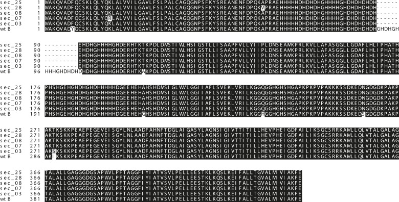 Figure 4—figure supplement 5.