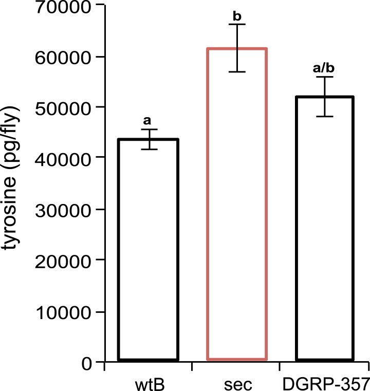 Figure 4—figure supplement 2.