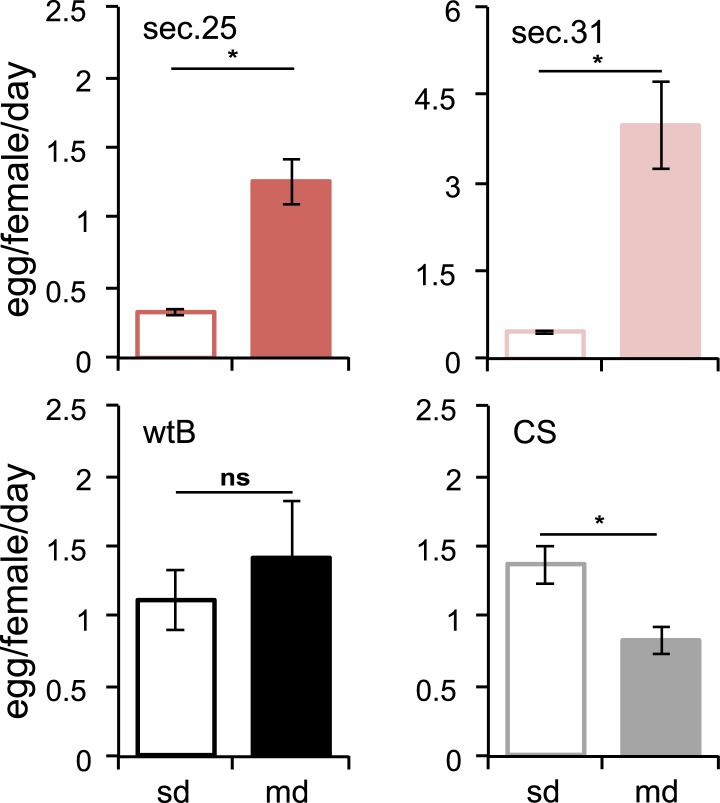 Figure 1—figure supplement 1.