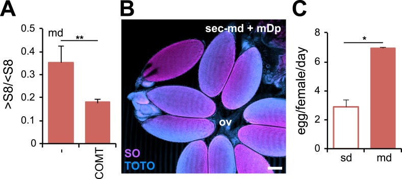 Figure 2—figure supplement 1.