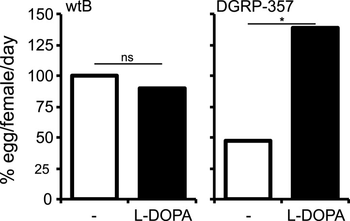 Figure 4—figure supplement 4.