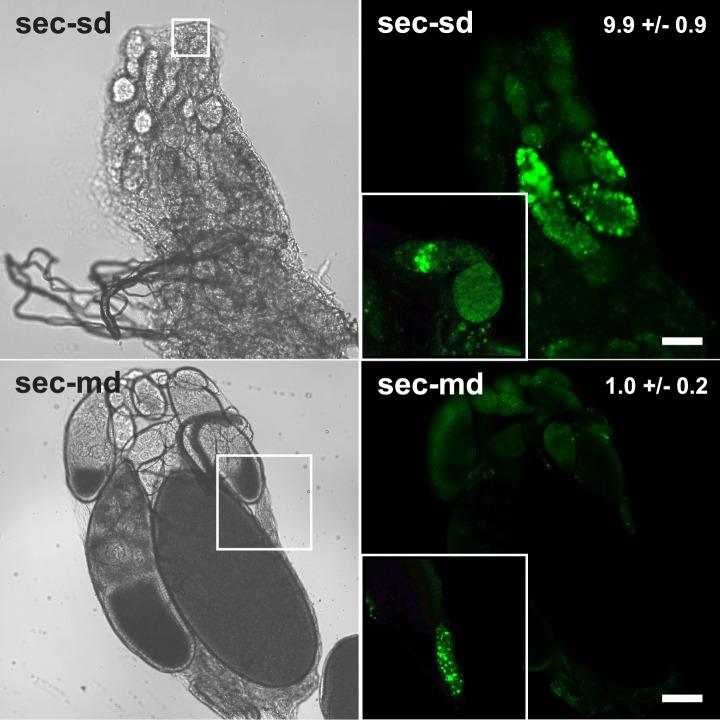 Figure 1—figure supplement 2.