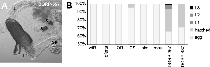 Figure 5—figure supplement 1.