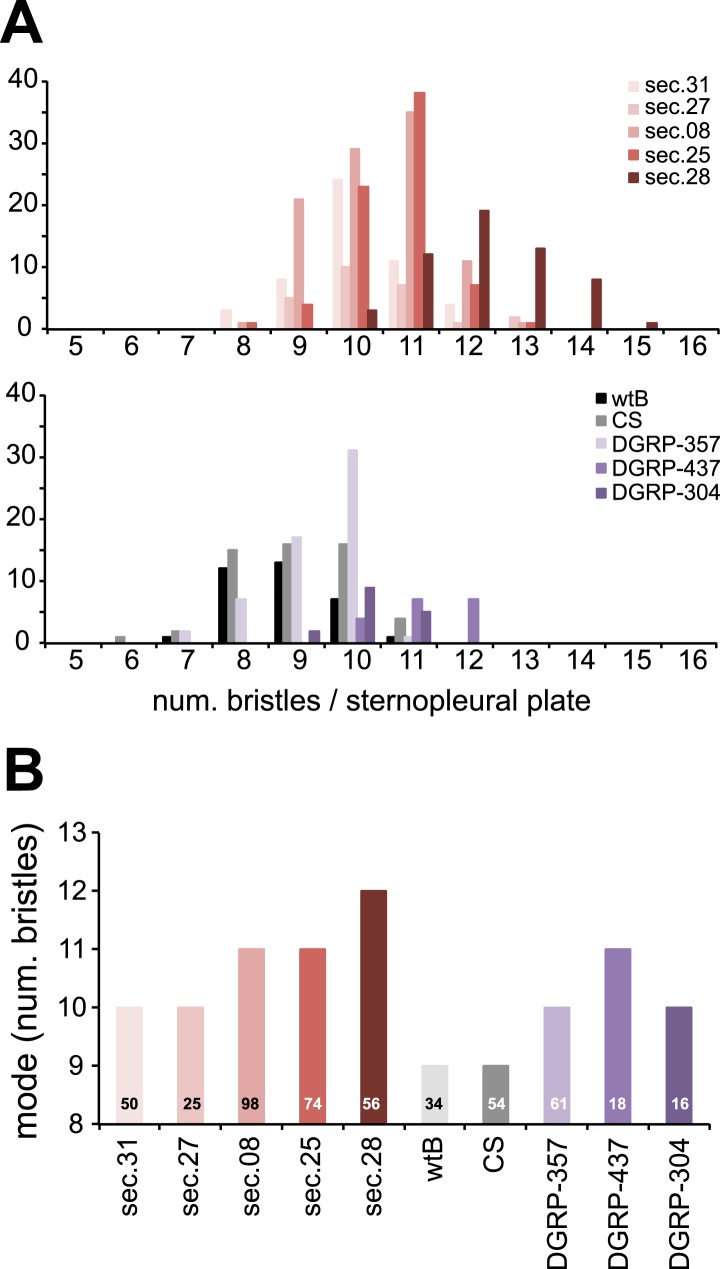 Figure 4—figure supplement 3.