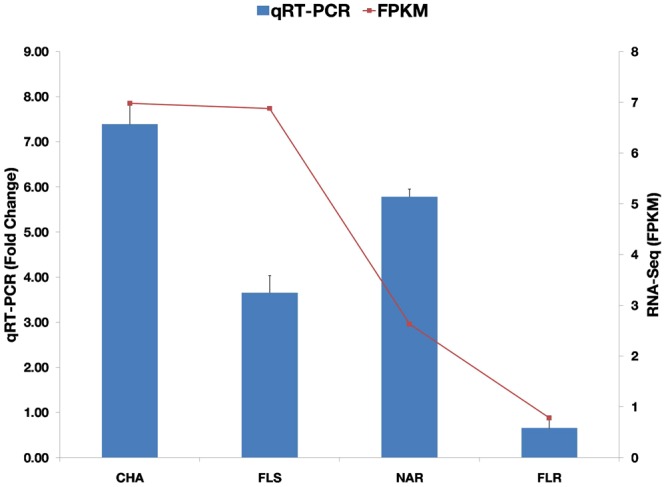 Figure 10