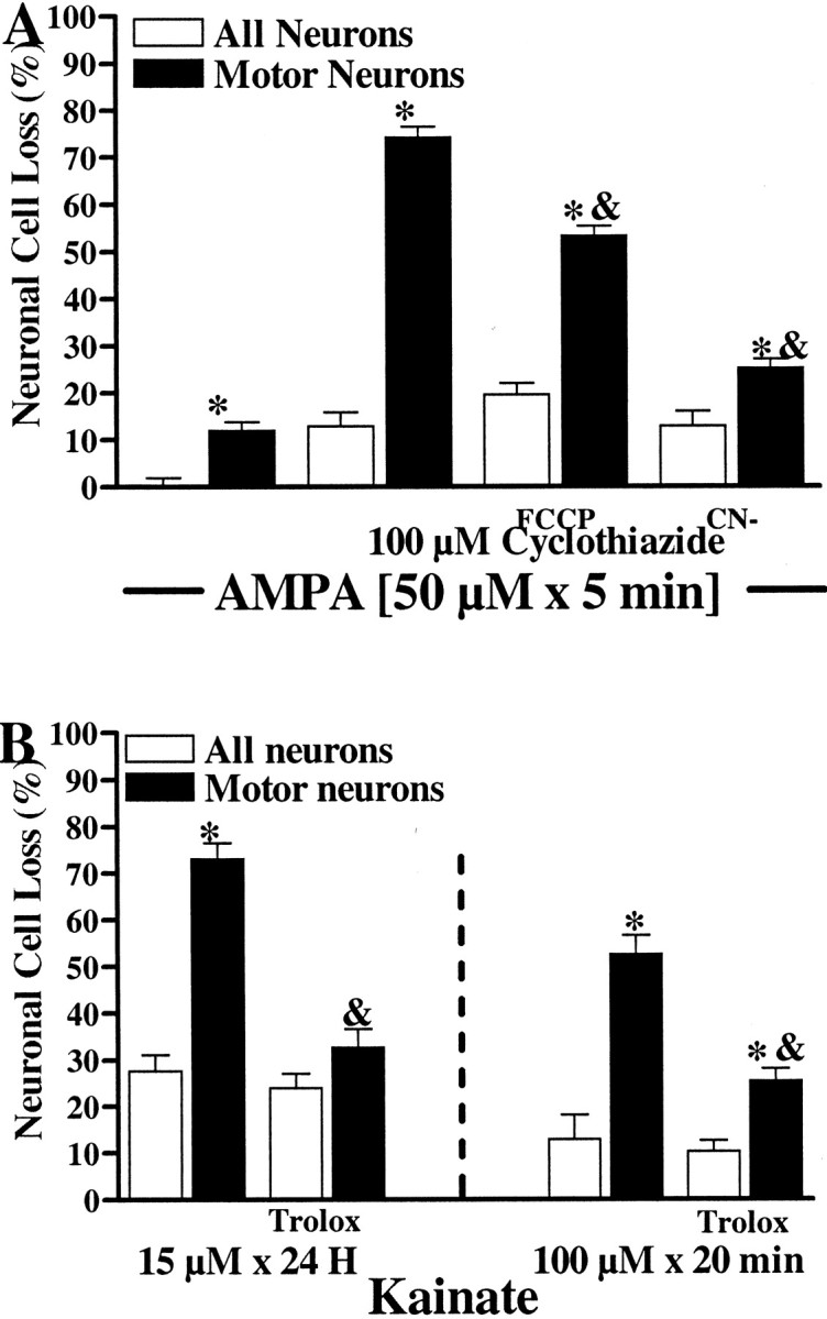 Fig. 10.