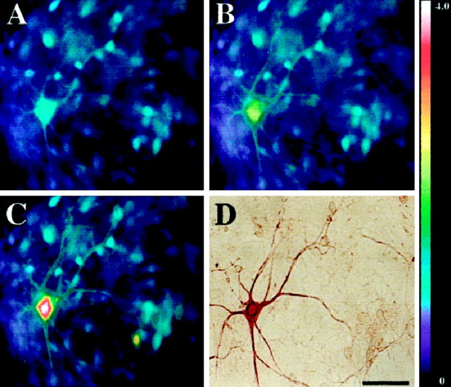 Fig. 3.