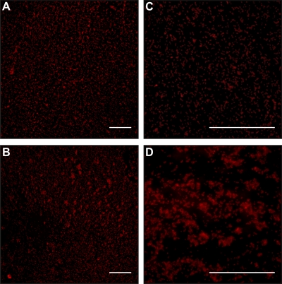 Fig 5