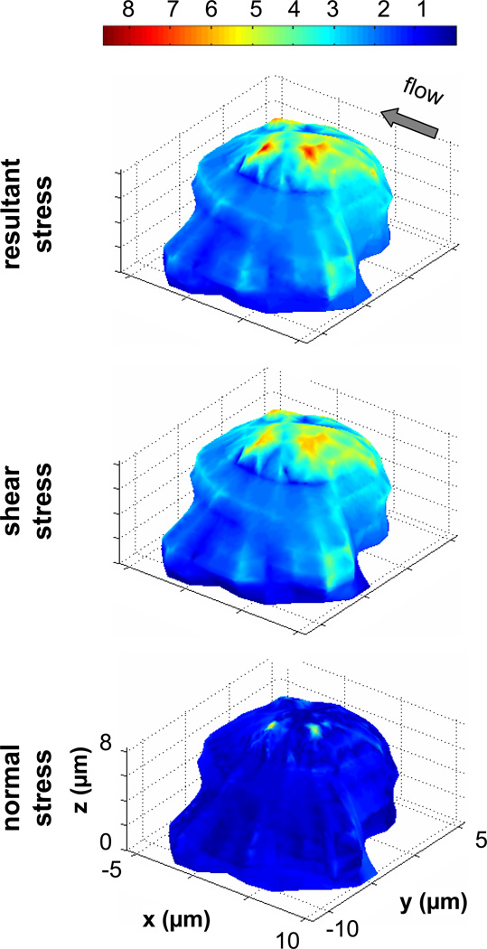 Figure 7