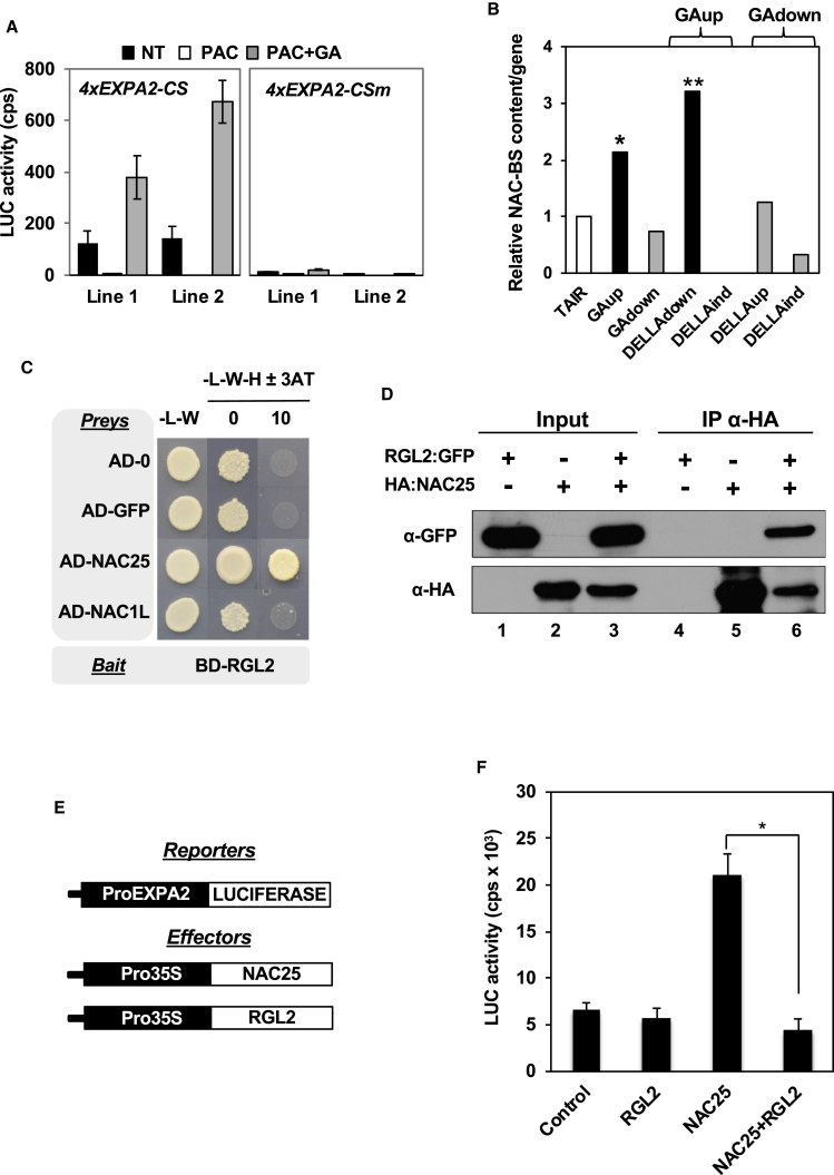 Figure 4