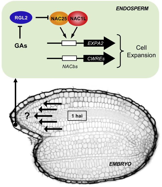 Figure 7