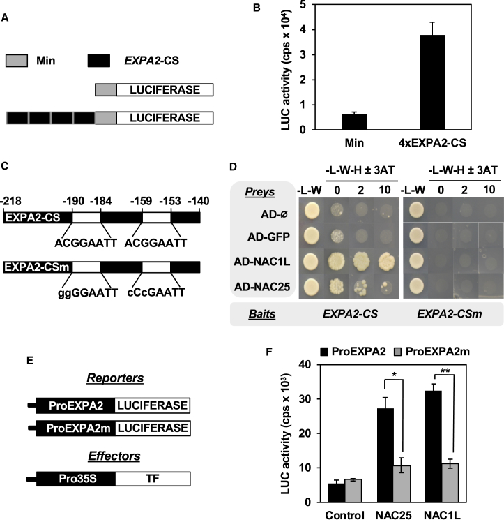 Figure 3