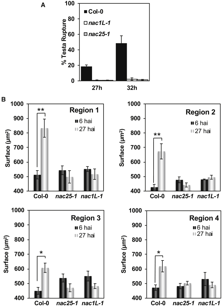 Figure 6