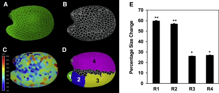 Figure 1