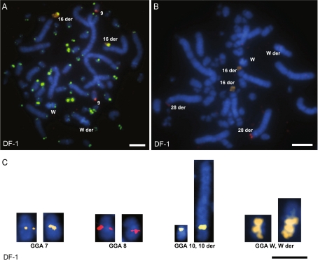 Fig. 4