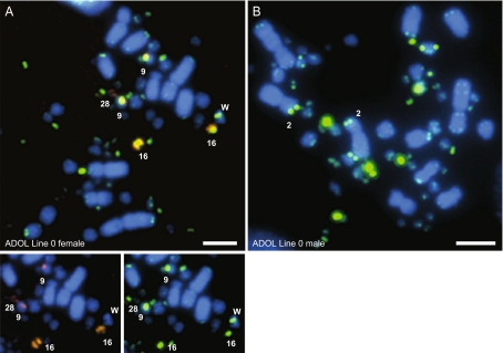 Fig. 3