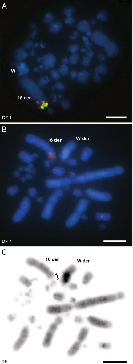 Fig. 5