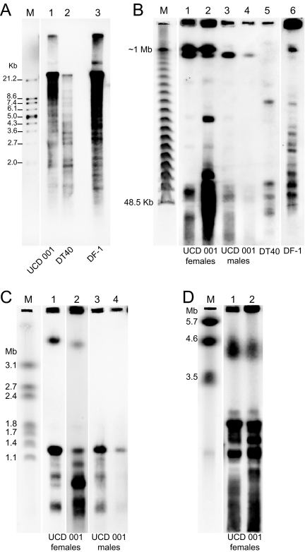 Fig. 6