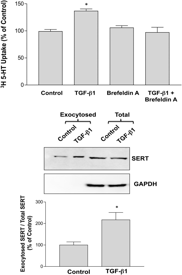 Fig 5