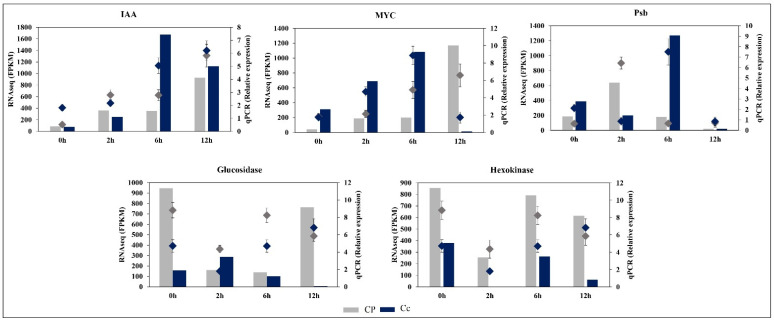 Figure 11