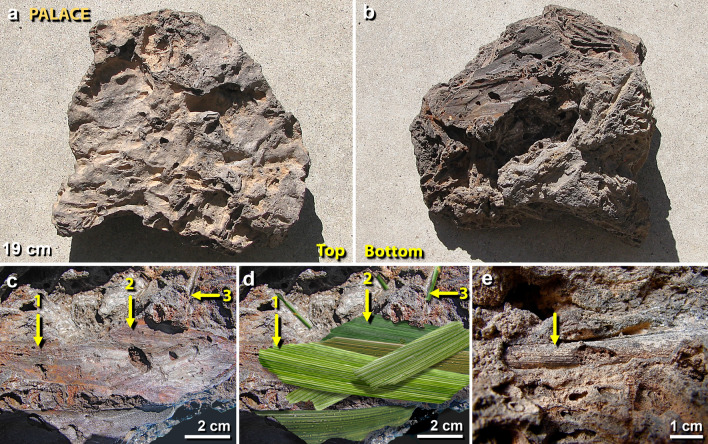 Figure 14