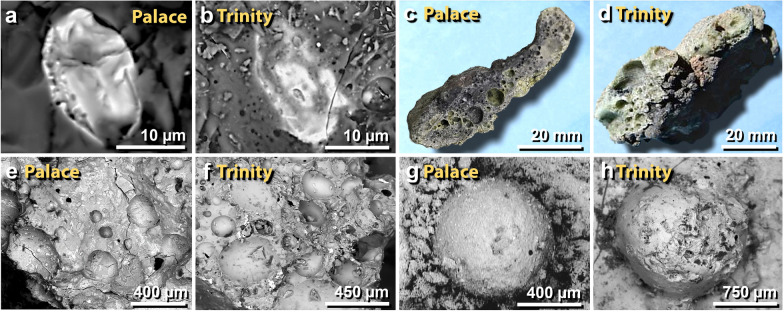 Figure 51