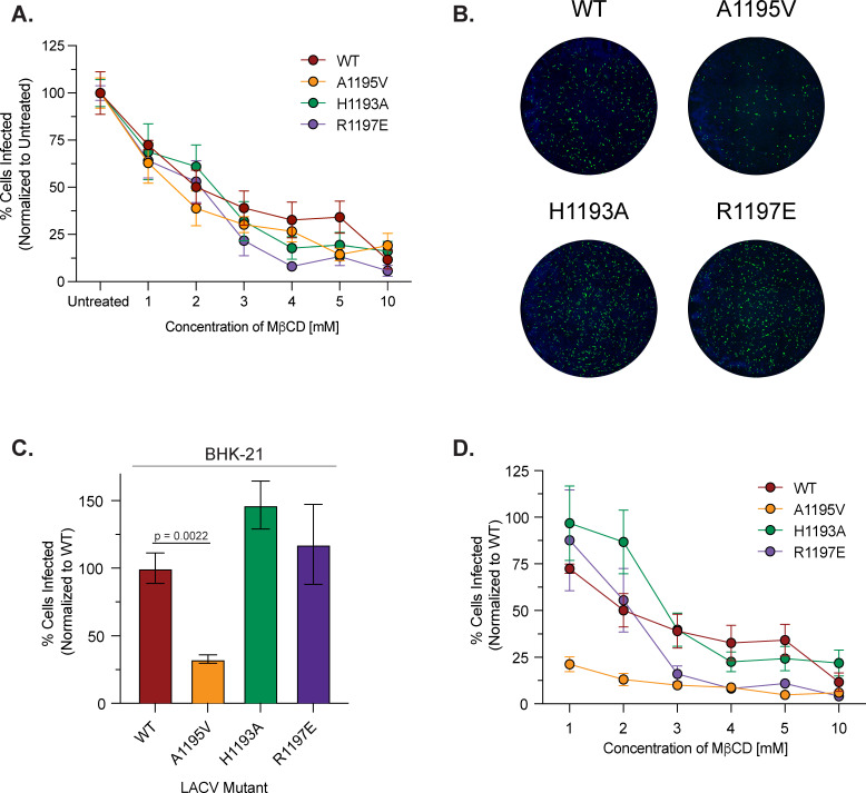 FIG 4