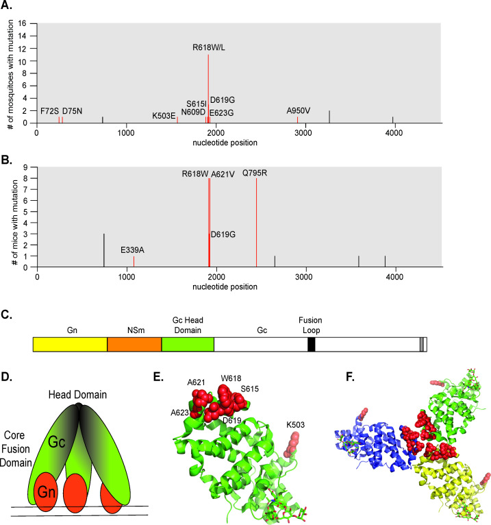 FIG 6