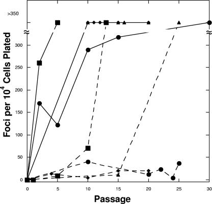 FIG. 8.