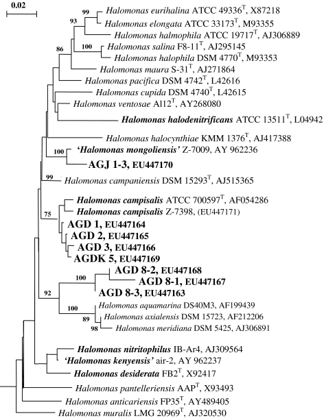 Fig. 2