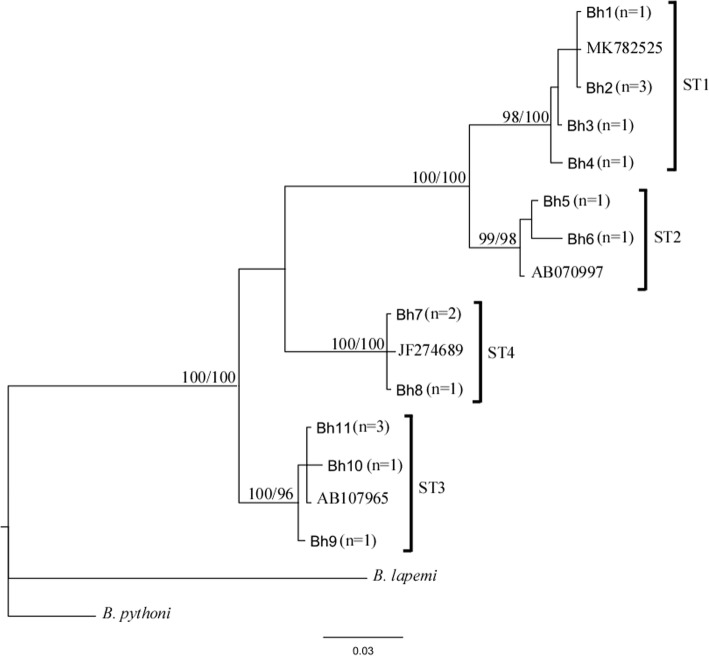 Fig. 1