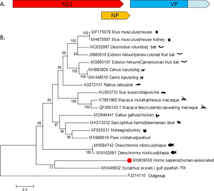 Fig 2