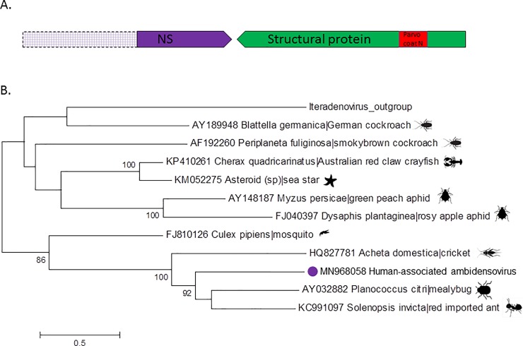 Fig 3