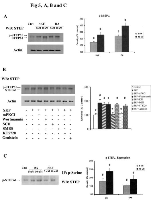 Fig. 5