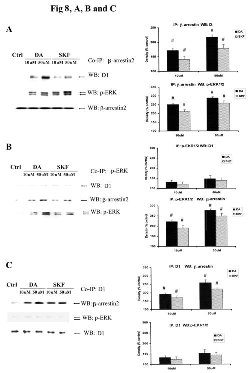 Fig. 8