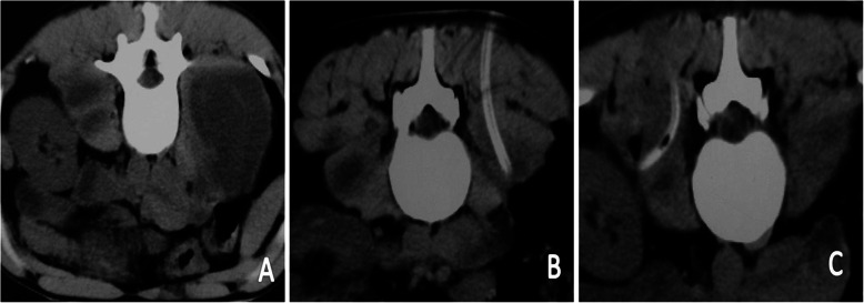 Fig. 3