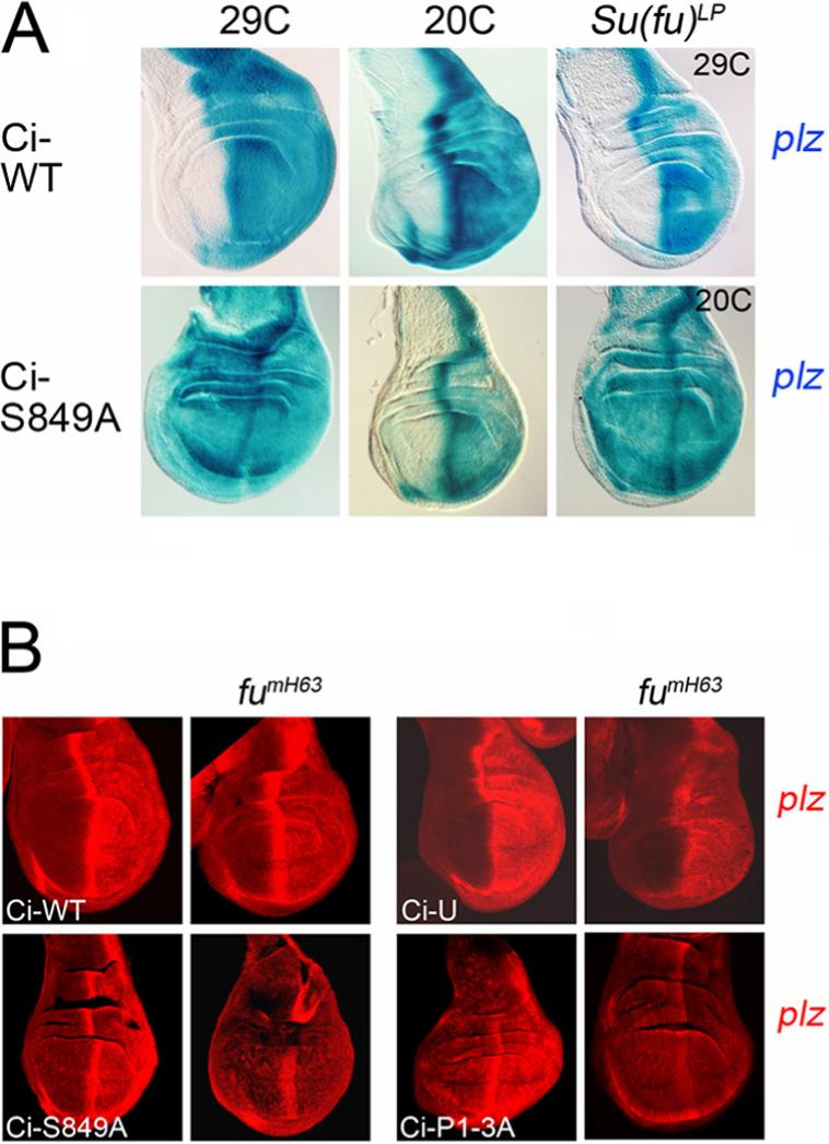 Figure 5