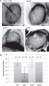 FIG 9